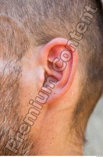 Ear texture of street references 345 0001